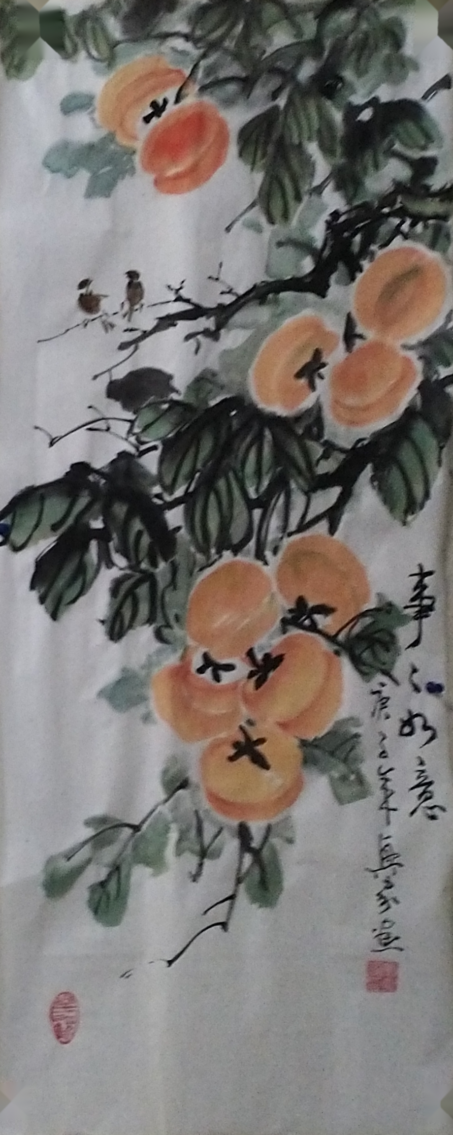 柿子