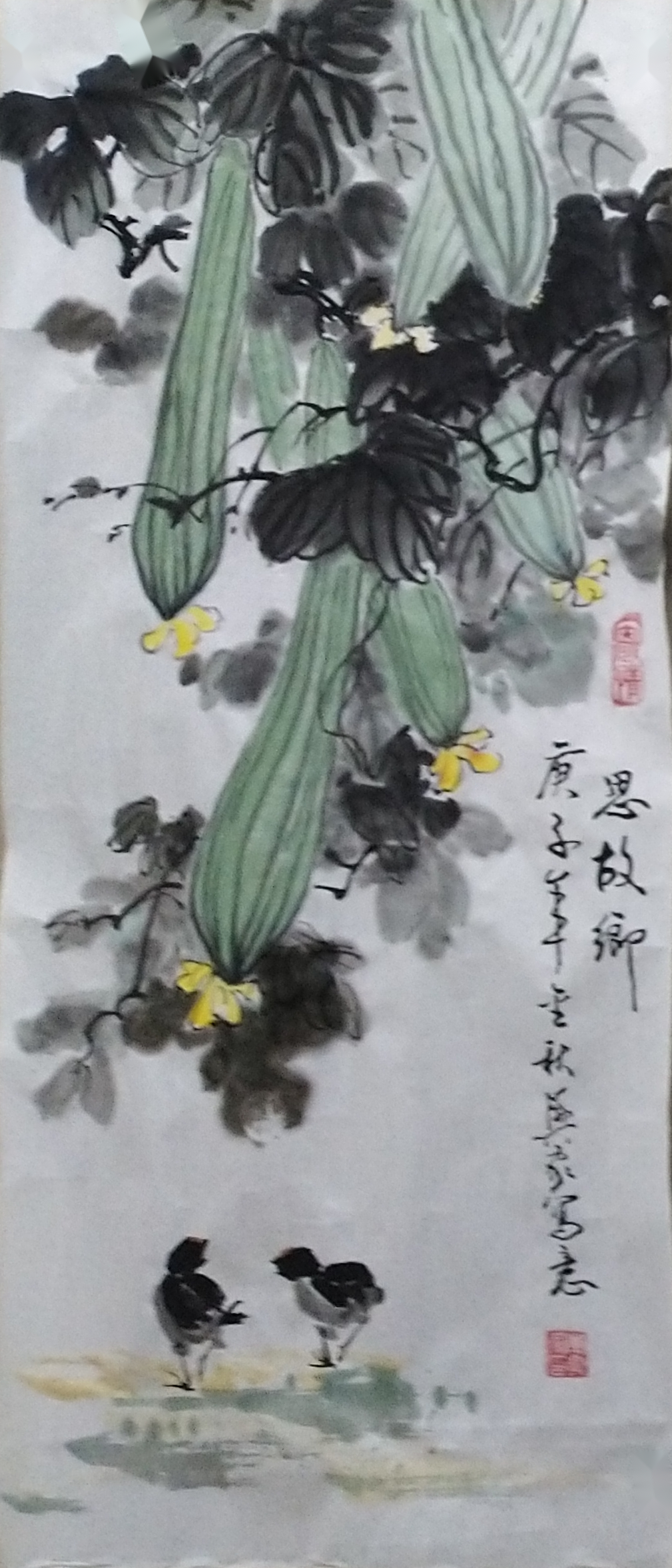 丝瓜